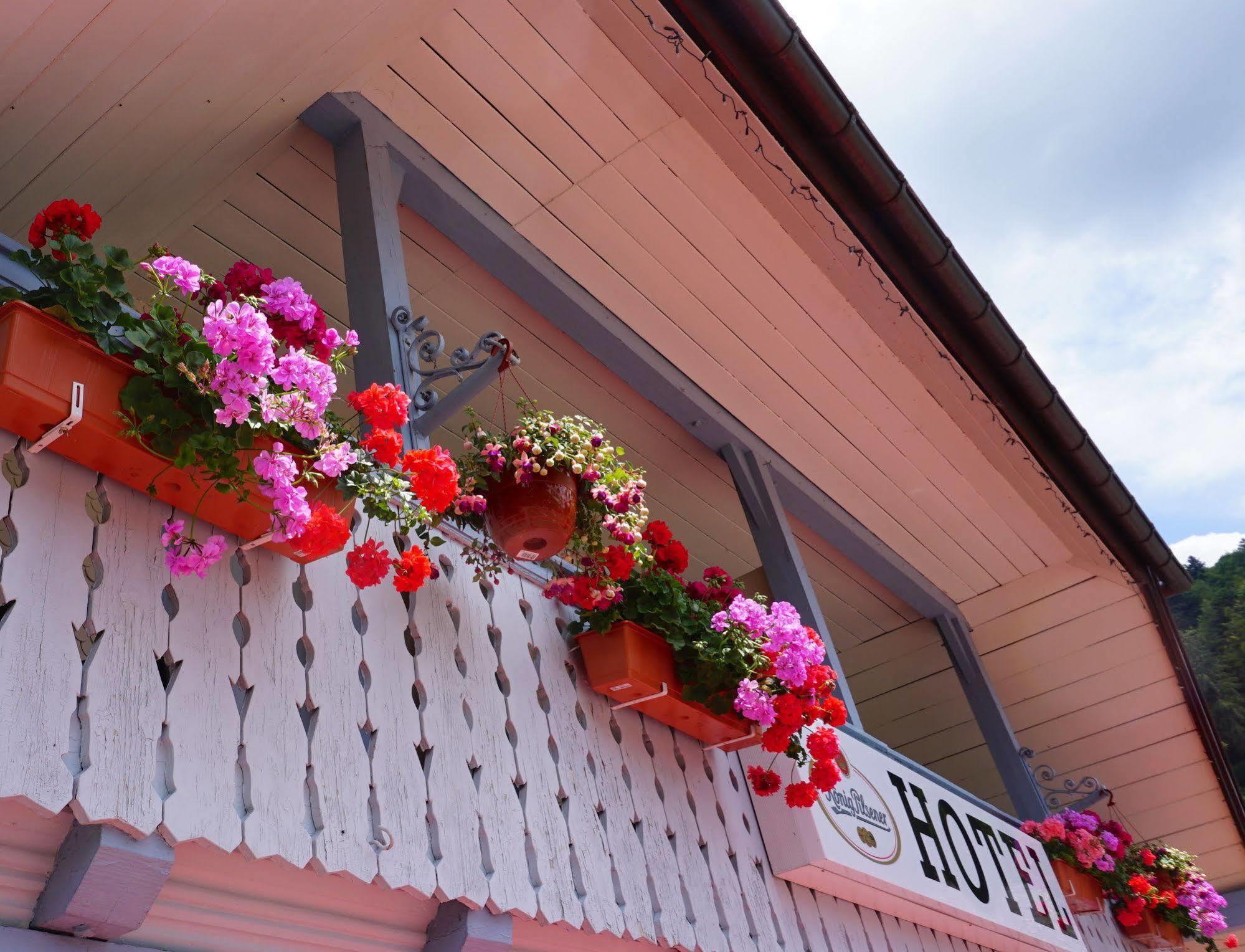 Bed and Breakfast Chalet Moos Todtmoos Zewnętrze zdjęcie