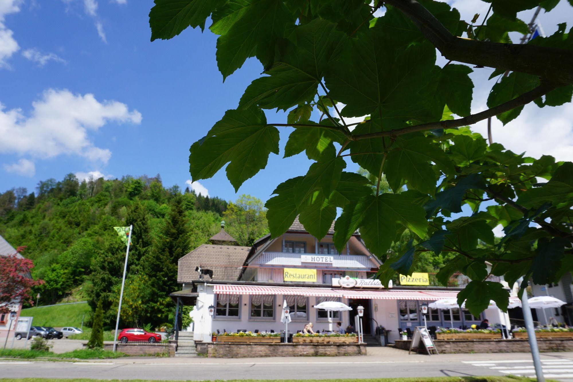 Bed and Breakfast Chalet Moos Todtmoos Zewnętrze zdjęcie