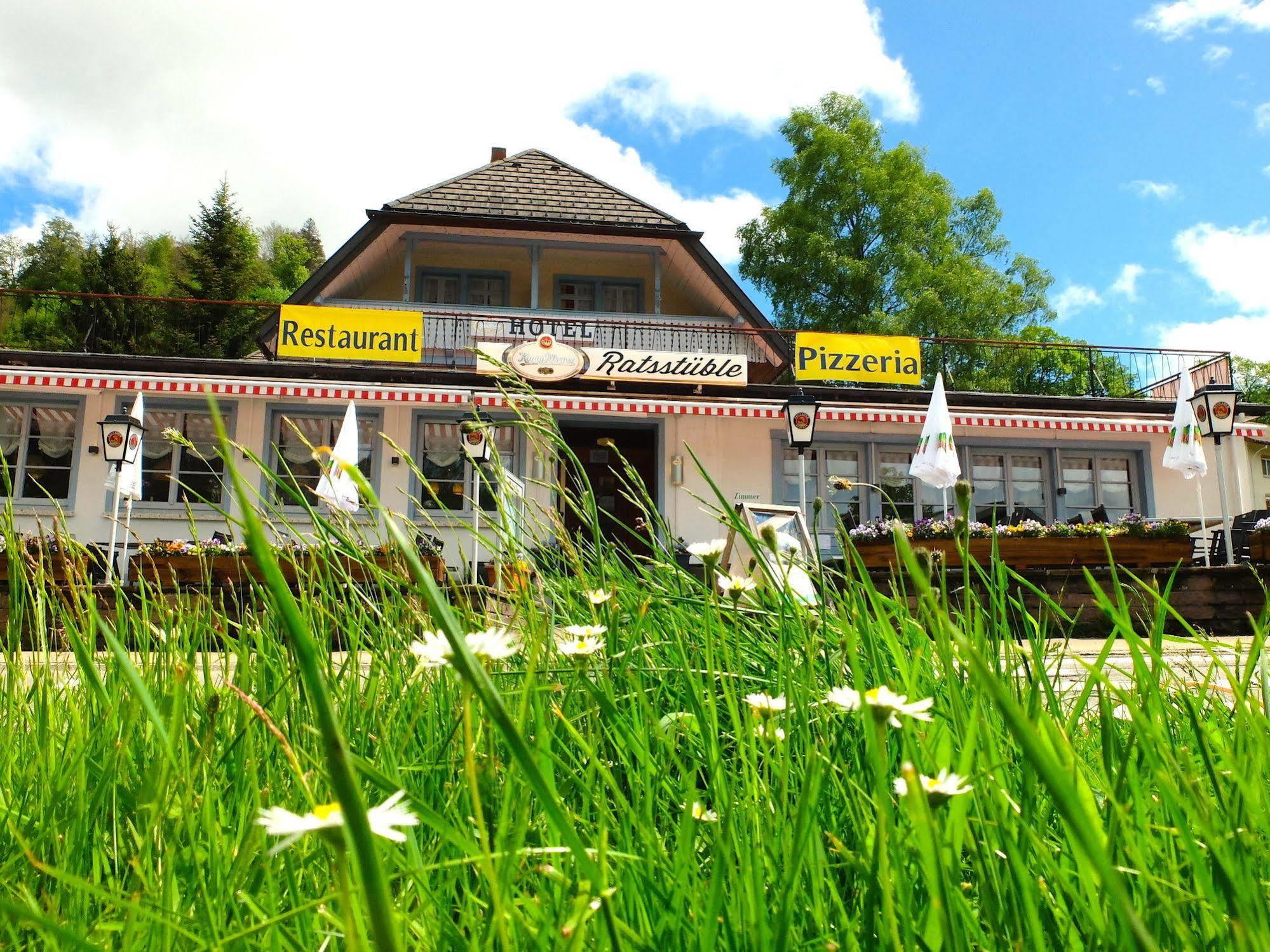 Bed and Breakfast Chalet Moos Todtmoos Zewnętrze zdjęcie